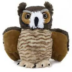 Horned Owl