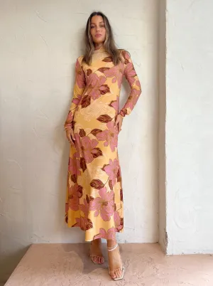 Kinney Camilla Dress in Rosa Floral