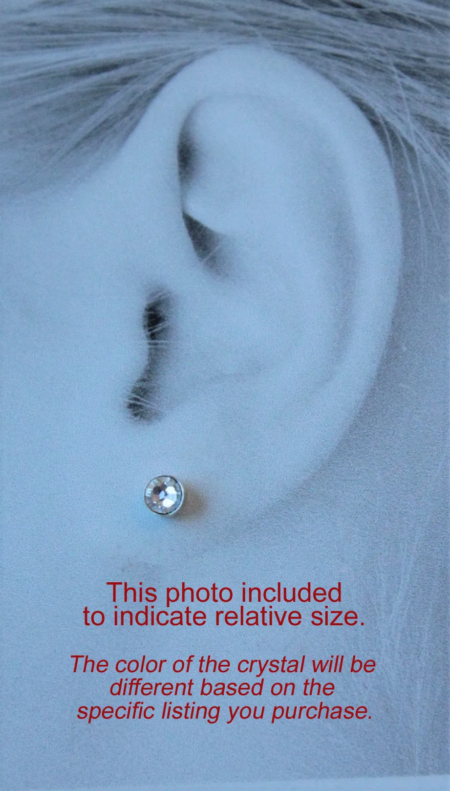 Ruby Red Crystal Pure Titanium Stud Earrings